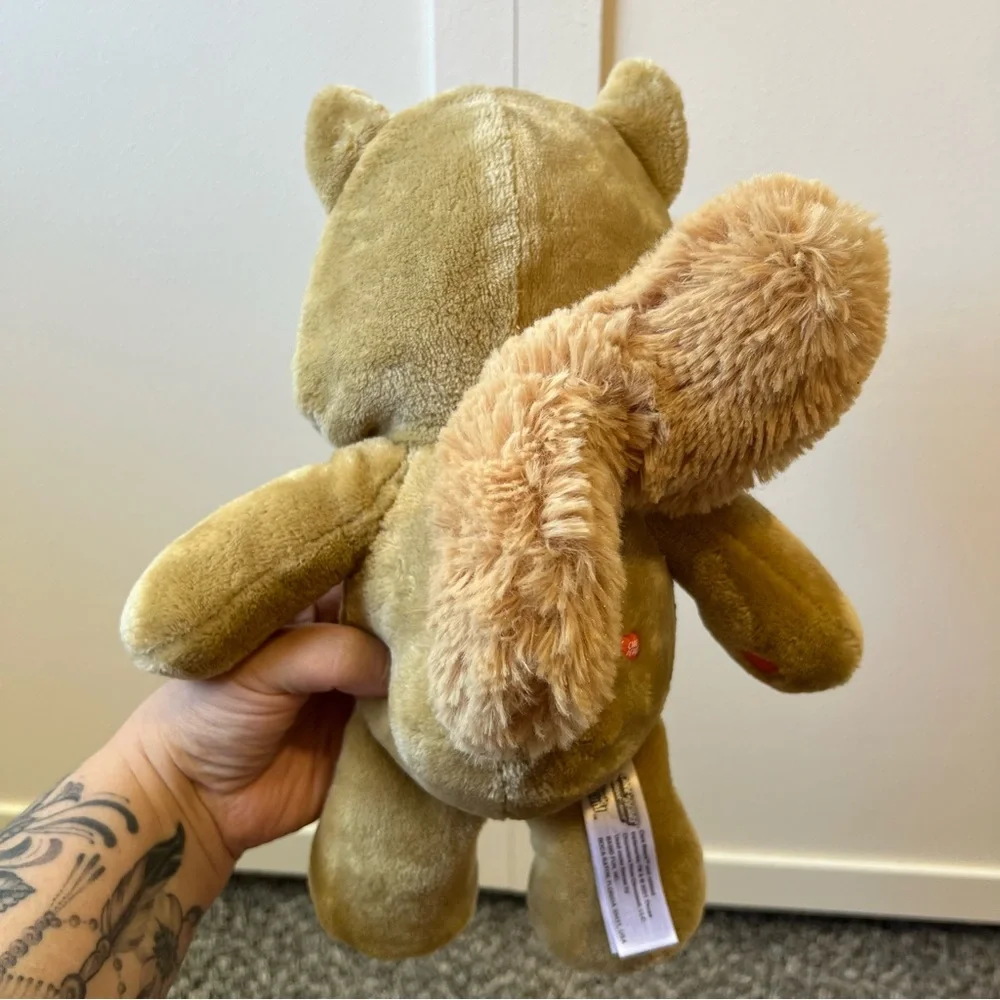 Care Bears Love A Lot Plush Squirrel Hoodie Friends Costume 2021‎ Toy